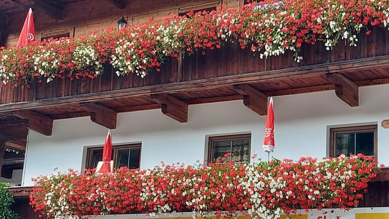 Appartements Zellner Alpbach Zewnętrze zdjęcie