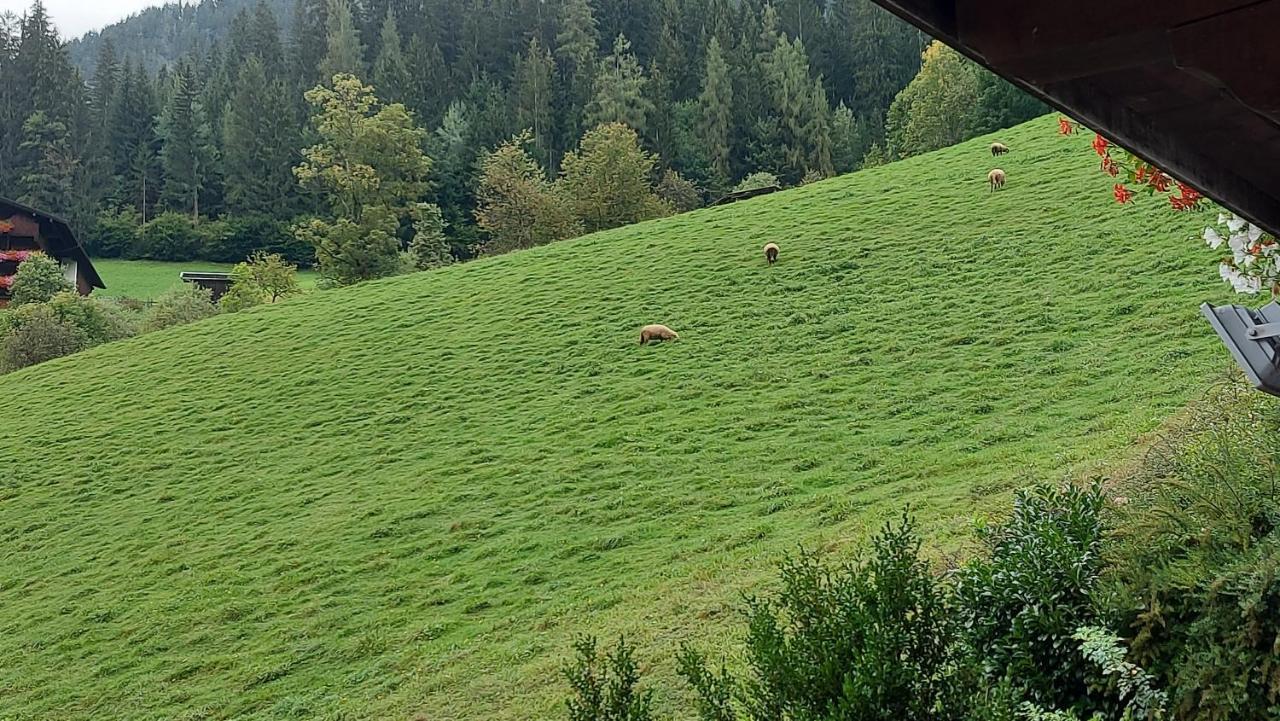 Appartements Zellner Alpbach Zewnętrze zdjęcie