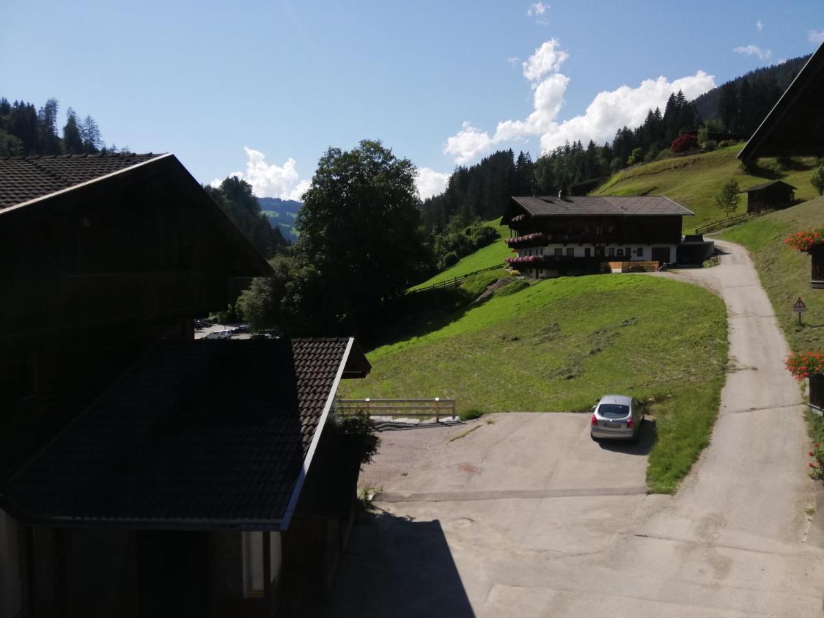 Appartements Zellner Alpbach Zewnętrze zdjęcie